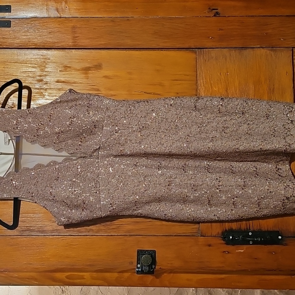 Nwt Dressbarn Elegant Taupe Sequined Cocktail Dress